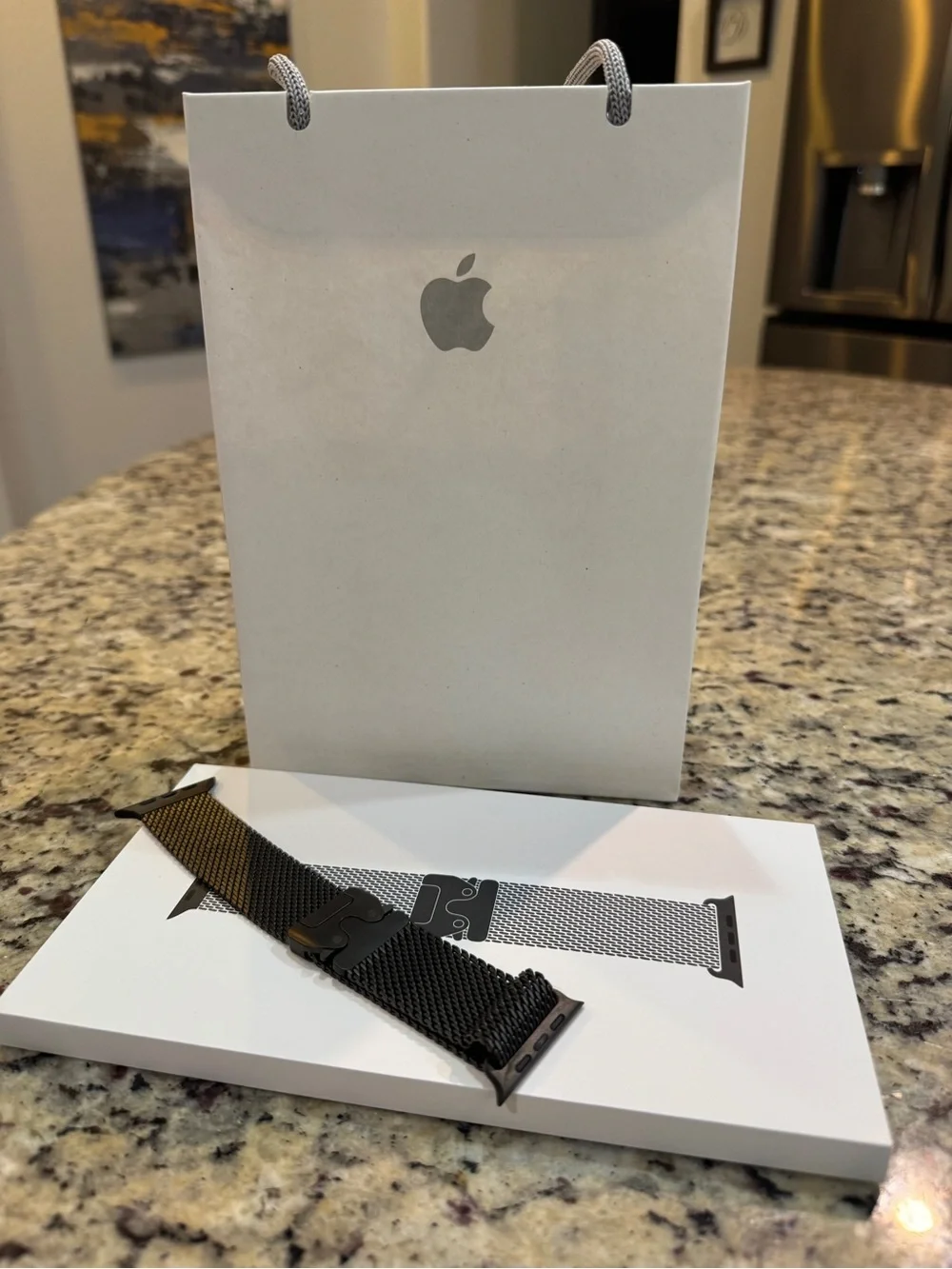 49mm Apple Black Titanium Milanese Loop Medium